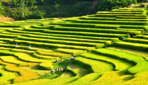 Hà Nội - Mai Châu - Pù Luông