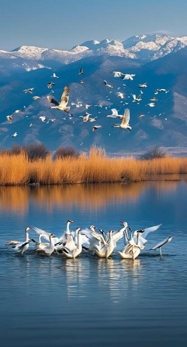 9N8D NAM TÂN CƯƠNG